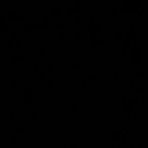 Meet your Posher, Hana